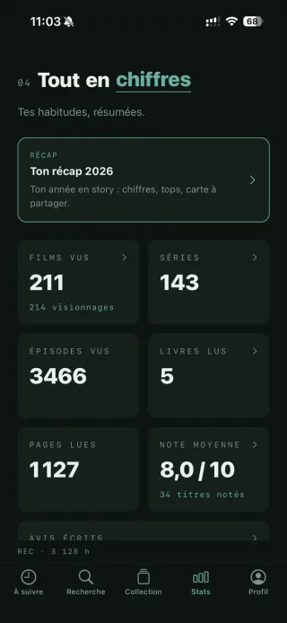 Les statistiques Storyko : films, séries, épisodes, pages lues et note moyenne